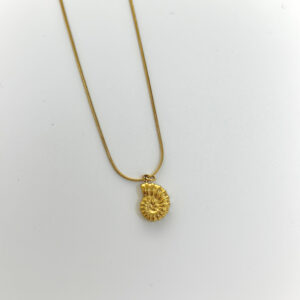 Varësja “Guaskë e Vogël”