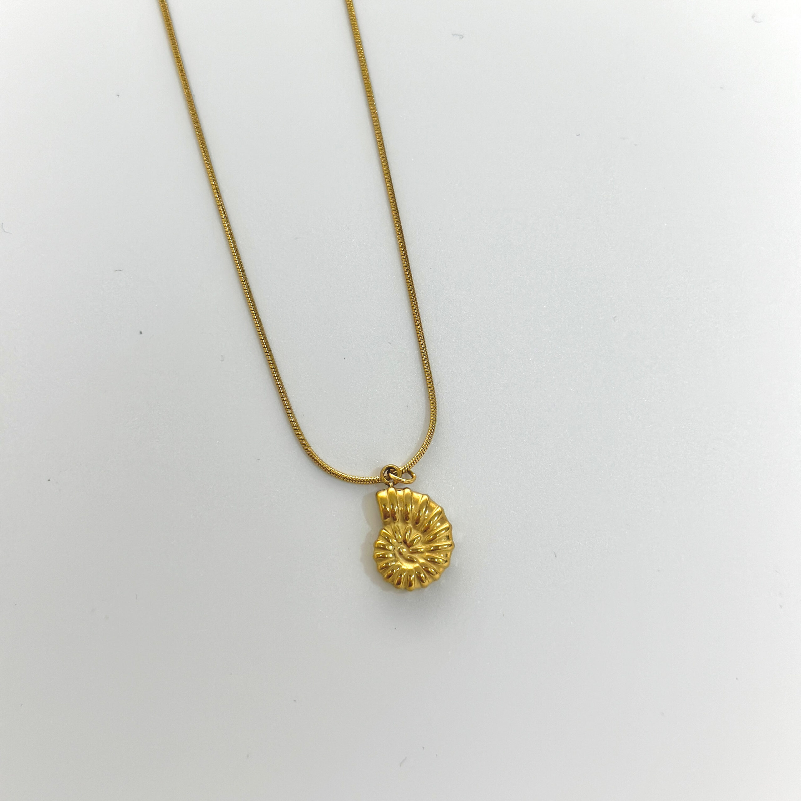 Varësja “Guaskë e Vogël”